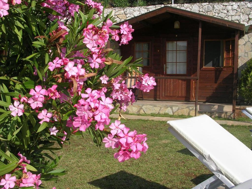 Onur Motel Faralya Exterior photo
